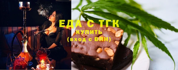 дмт Богородицк