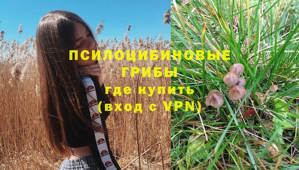 альфа пвп Беломорск