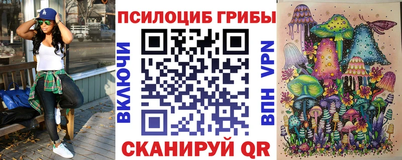 Псилоцибиновые грибы прущие грибы  shop формула  Бокситогорск 